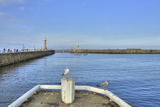View to the east and west piers.