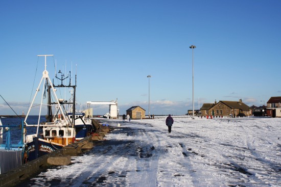 Amble Quayside
