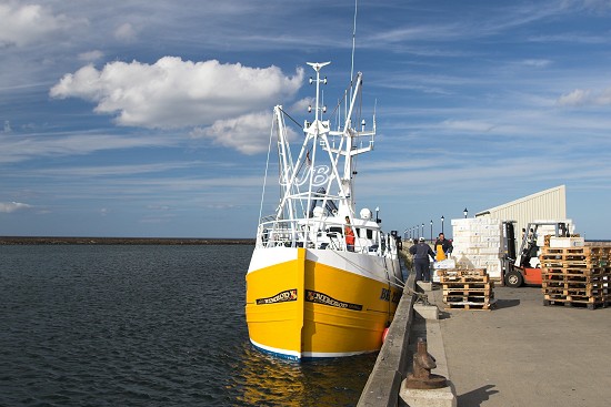 Amble Harbour