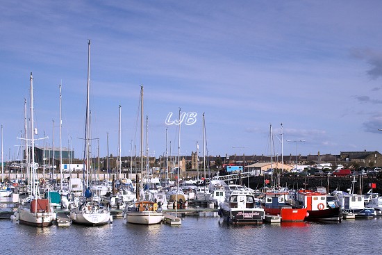 Amble Marina