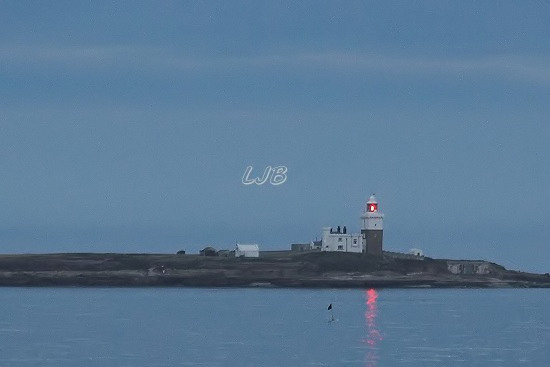 Coquet Island Lighthouse.