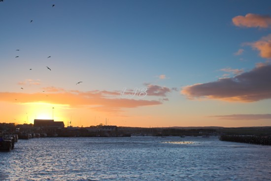 Amble Northumberland.