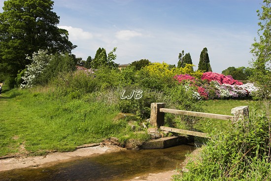 Belsay Gardens