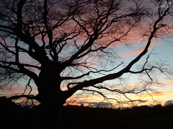 Bothal. Northumberland