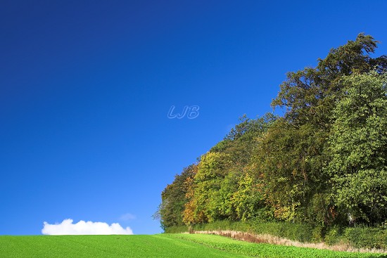 Bothal Northumberland.