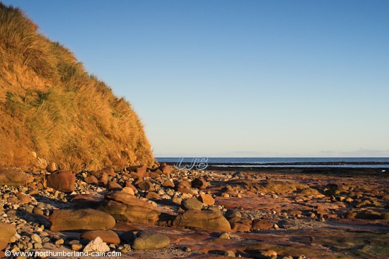 Seaton Point