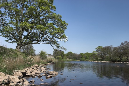 River North Tyne, Chesters Fort