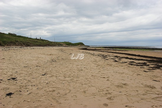 Cresswell