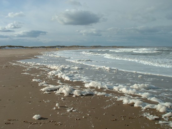 Sea Foam