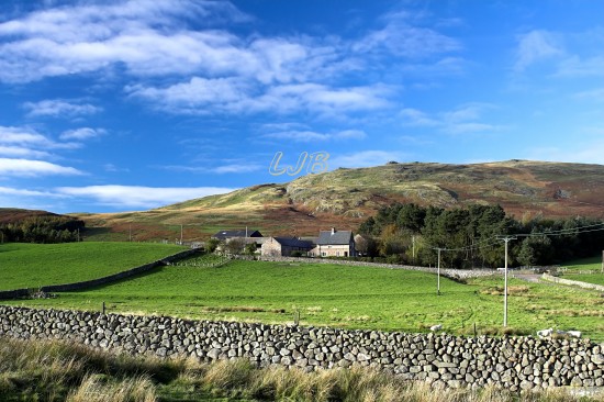 Ingram Valley, Northumberland