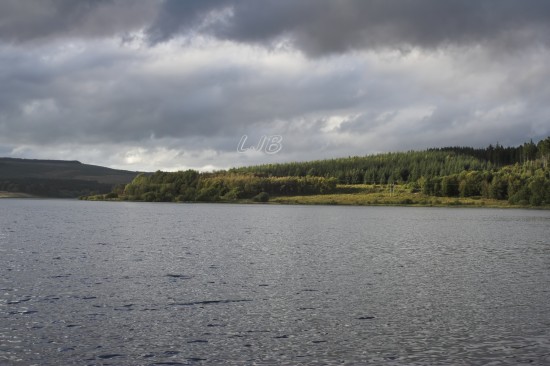 Kielder - Bakethin