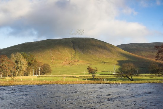 Loch of Lowes Scottish Borders, Scotland