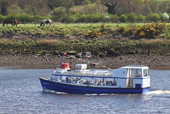 River Tyne - Newburn