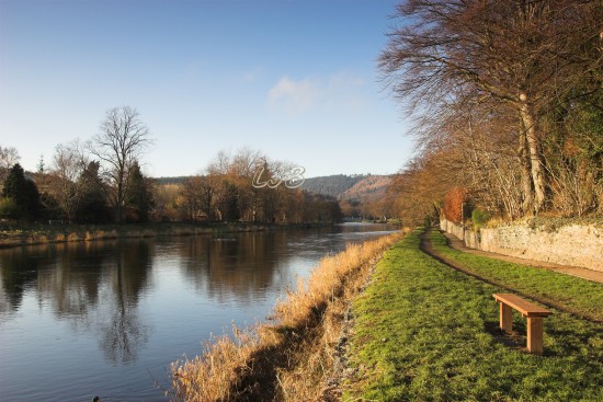 River Tweed at Peebles, Scottish Borders, Scotland