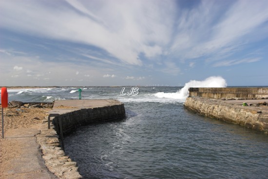 Seaton Sluice Harbour