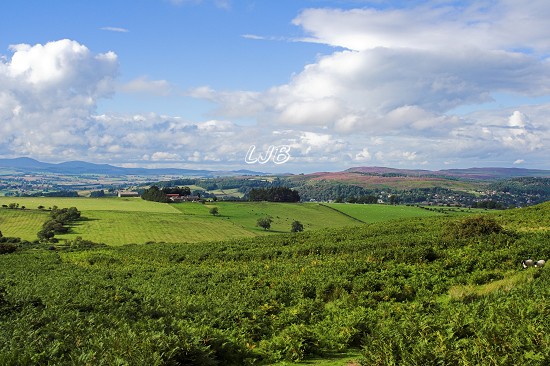 Cheviot Hills and Rothbury from Simonside.
